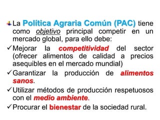 La Política Agraria Común (PAC) tiene
como objetivo principal competir en un
mercado global, para ello debe:
Mejorar la competitividad del sector
(ofrecer alimentos de calidad a precios
asequibles en el mercado mundial)
Garantizar la producción de alimentos
sanos.
Utilizar métodos de producción respetuosos
con el medio ambiente.
Procurar el bienestar de la sociedad rural.
 