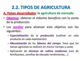 2.2. TIPOS DE AGRICULTURA
A. Países desarrollados: la agricultura de mercado
• Objetivo: obtener el máximo beneficio con la venta
de la producción.
• Los medios para alcanzar este objetivo son los
siguientes:
– Especialización de la producción (cultivar un solo
producto en cada explotación)
– Mecanización de las labores del campo: hace que las
tareas agrícolas se realicen en menor tiempo y coste.
– Aplicación de técnicas de cultivo modernas (uso de
fertilizantes, semillas de elevado rendimiento,...)
 