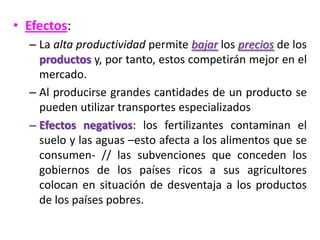 • Efectos:
– La alta productividad permite bajar los precios de los
productos y, por tanto, estos competirán mejor en el
mercado.
– Al producirse grandes cantidades de un producto se
pueden utilizar transportes especializados
– Efectos negativos: los fertilizantes contaminan el
suelo y las aguas –esto afecta a los alimentos que se
consumen- // las subvenciones que conceden los
gobiernos de los países ricos a sus agricultores
colocan en situación de desventaja a los productos
de los países pobres.
 
