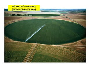 TÉCNOLOGÍA MODERNA
(RIEGO POR ASPERSIÓN)
 