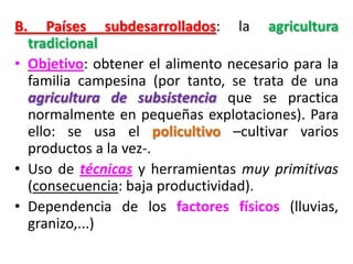 B. Países subdesarrollados: la agricultura
tradicional
• Objetivo: obtener el alimento necesario para la
familia campesina (por tanto, se trata de una
agricultura de subsistencia que se practica
normalmente en pequeñas explotaciones). Para
ello: se usa el policultivo –cultivar varios
productos a la vez-.
• Uso de técnicas y herramientas muy primitivas
(consecuencia: baja productividad).
• Dependencia de los factores físicos (lluvias,
granizo,...)
 