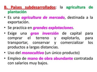 B. Países subdesarrollados: la agricultura de
plantación
• Es una agricultura de mercado, destinada a la
exportación.
• Se practica en grandes explotaciones.
• Exige una gran inversión de capital para
comprar el terreno y explotarlo, para
transportar, conservar y comercializar los
productos a largas distancias.
• Uso del monocultivo (un único producto)
• Empleo de mano de obra abundante contratada
con salarios muy bajos.
 