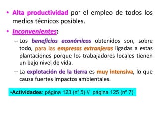 • Alta productividad por el empleo de todos los
medios técnicos posibles.
• Inconvenientes:
– Los beneficios económicos obtenidos son, sobre
todo, para las empresas extranjeras ligadas a estas
plantaciones porque los trabajadores locales tienen
un bajo nivel de vida.
– La explotación de la tierra es muy intensiva, lo que
causa fuertes impactos ambientales.
•Actividades: página 123 (nº 5) // página 125 (nº 7)
 