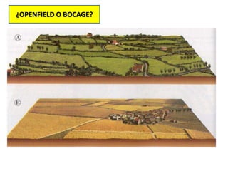 ¿OPENFIELD O BOCAGE?
 