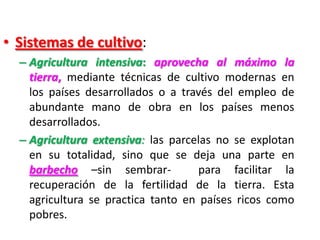 • Sistemas de cultivo:
– Agricultura intensiva: aprovecha al máximo la
tierra, mediante técnicas de cultivo modernas en
los países desarrollados o a través del empleo de
abundante mano de obra en los países menos
desarrollados.
– Agricultura extensiva: las parcelas no se explotan
en su totalidad, sino que se deja una parte en
barbecho –sin sembrar- para facilitar la
recuperación de la fertilidad de la tierra. Esta
agricultura se practica tanto en países ricos como
pobres.
 