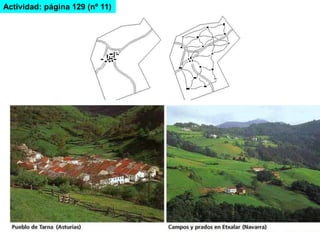 Actividad: página 129 (nº 11)
 