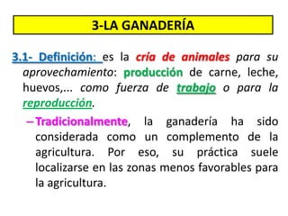 3-LA GANADERÍA
3.1- Definición: es la cría de animales para su
aprovechamiento: producción de carne, leche,
huevos,... como fuerza de trabajo o para la
reproducción.
–Tradicionalmente, la ganadería ha sido
considerada como un complemento de la
agricultura. Por eso, su práctica suele
localizarse en las zonas menos favorables para
la agricultura.
 