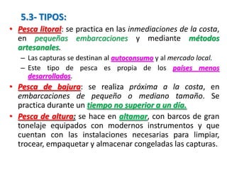 5.3- TIPOS:
• Pesca litoral: se practica en las inmediaciones de la costa,
en pequeñas embarcaciones y mediante métodos
artesanales.
– Las capturas se destinan al autoconsumo y al mercado local.
– Este tipo de pesca es propia de los países menos
desarrollados.
• Pesca de bajura: se realiza próxima a la costa, en
embarcaciones de pequeño o mediano tamaño. Se
practica durante un tiempo no superior a un día.
• Pesca de altura: se hace en altamar, con barcos de gran
tonelaje equipados con modernos instrumentos y que
cuentan con las instalaciones necesarias para limpiar,
trocear, empaquetar y almacenar congeladas las capturas.
 