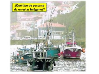 ¿Qué tipo de pesca se
da en estas imágenes?
 