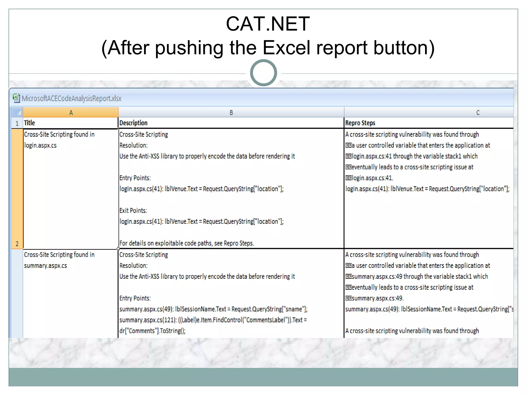 CAT.NET
(After pushing the Excel report button)
 