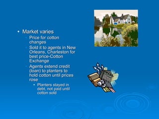 Market varies Price for cotton changes Sold it to agents in New Orleans, Charleston for best price-Cotton Exchange Agents extend credit  (loan) to planters to hold cotton until prices rose Planters stayed in debt, not paid until cotton sold 