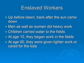 Enslaved Workers Up before dawn, back after the sun came down Men as well as women did heavy work Children carried water to the fields At age 10, they began work in the fields At age 60, they were given lighter work or cared for the kids 