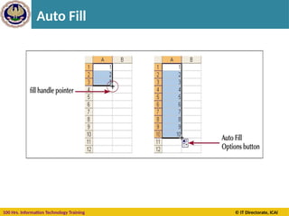 100 Hrs. Information Technology Training © IT Directorate, ICAI
Auto Fill
 