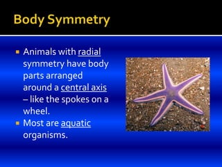  Animals with radial
symmetry have body
parts arranged
around a central axis
– like the spokes on a
wheel.
 Most are aquatic
organisms.
 