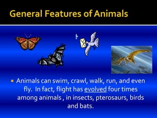  Animals can swim, crawl, walk, run, and even
fly. In fact, flight has evolved four times
among animals , in insects, pterosaurs, birds
and bats.
 
