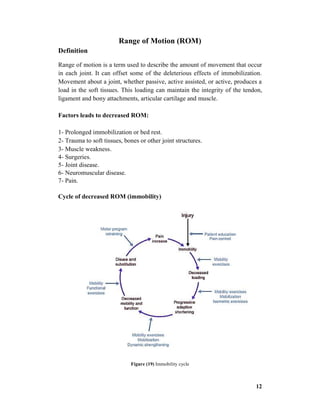 section manual muscle test pdf........... | PDF