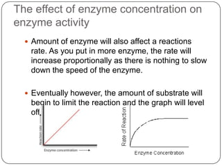  Amount of enzyme will also affect a reactions
rate. As you put in more enzyme, the rate will
increase proportionally as there is nothing to slow
down the speed of the enzyme.
 Eventually however, the amount of substrate will
begin to limit the reaction and the graph will level
off.
The effect of enzyme concentration on
enzyme activity
 