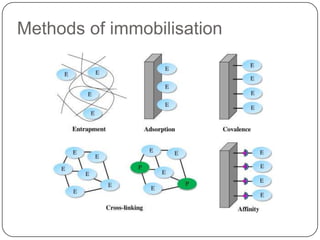 Methods of immobilisation
 