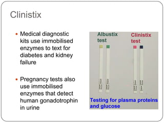 Clinistix
 Medical diagnostic
kits use immobilised
enzymes to text for
diabetes and kidney
failure
 Pregnancy tests also
use immobilised
enzymes that detect
human gonadotrophin
in urine
 