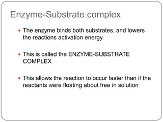 Enzyme-Substrate complex
 The enzyme binds both substrates, and lowers
the reactions activation energy
 This is called the ENZYME-SUBSTRATE
COMPLEX
 This allows the reaction to occur faster than if the
reactants were floating about free in solution
 