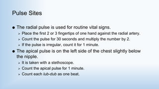 Pulse Sites
 The radial pulse is used for routine vital signs.
 Place the first 2 or 3 fingertips of one hand against the radial artery.
 Count the pulse for 30 seconds and multiply the number by 2.
 If the pulse is irregular, count it for 1 minute.
 The apical pulse is on the left side of the chest slightly below
the nipple.
 It is taken with a stethoscope.
 Count the apical pulse for 1 minute.
 Count each lub-dub as one beat.
 