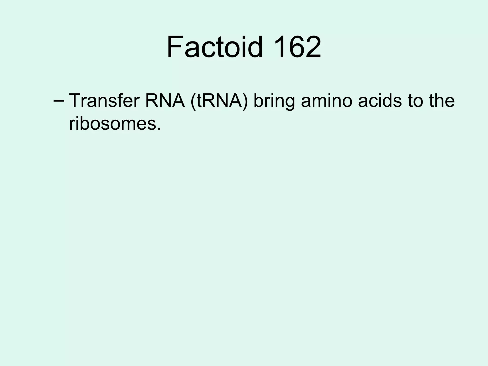 Factoid 162 Transfer RNA (tRNA) bring amino acids to the ribosomes. 