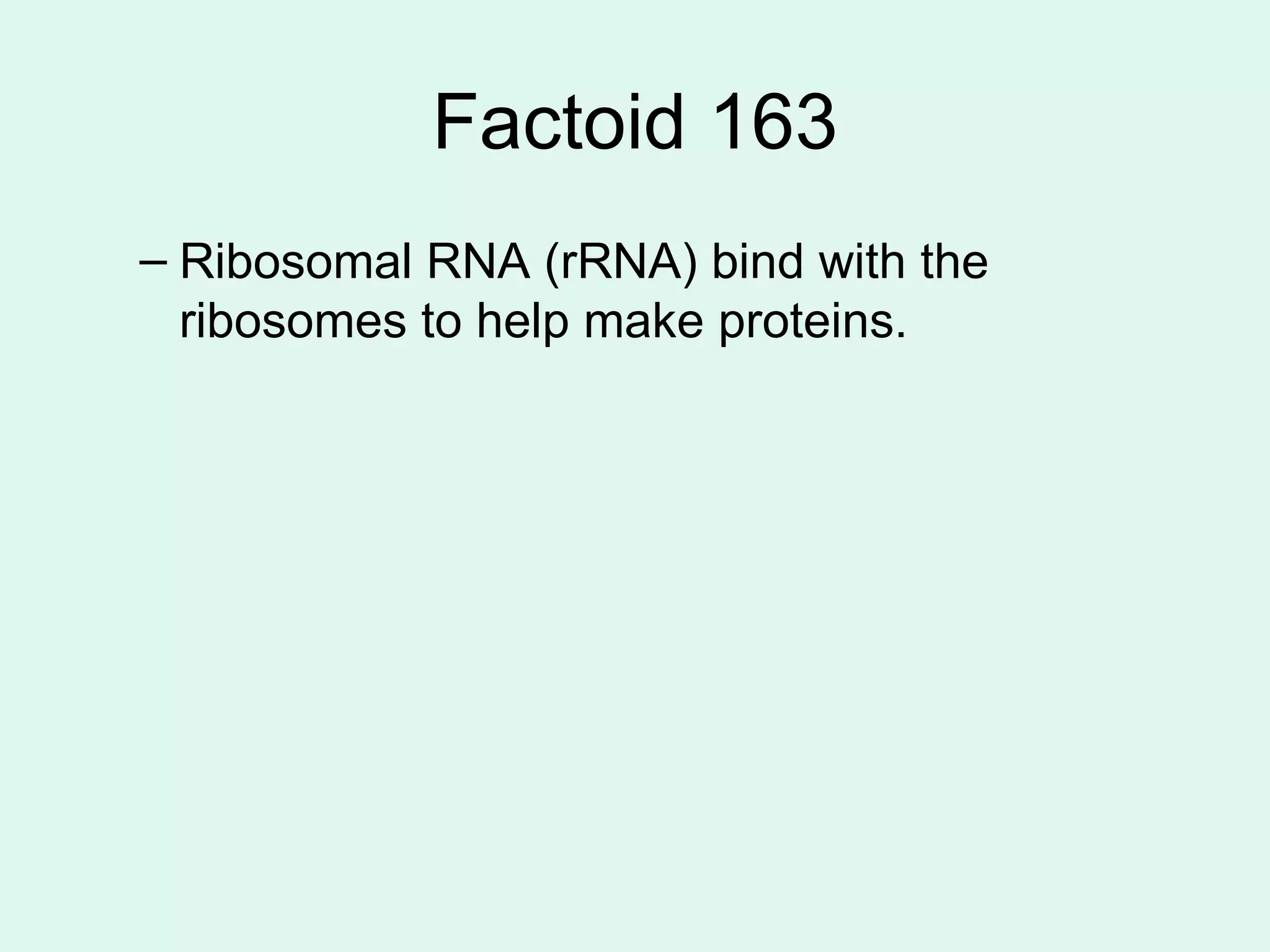 Factoid 163 Ribosomal RNA (rRNA) bind with the ribosomes to help make proteins. 