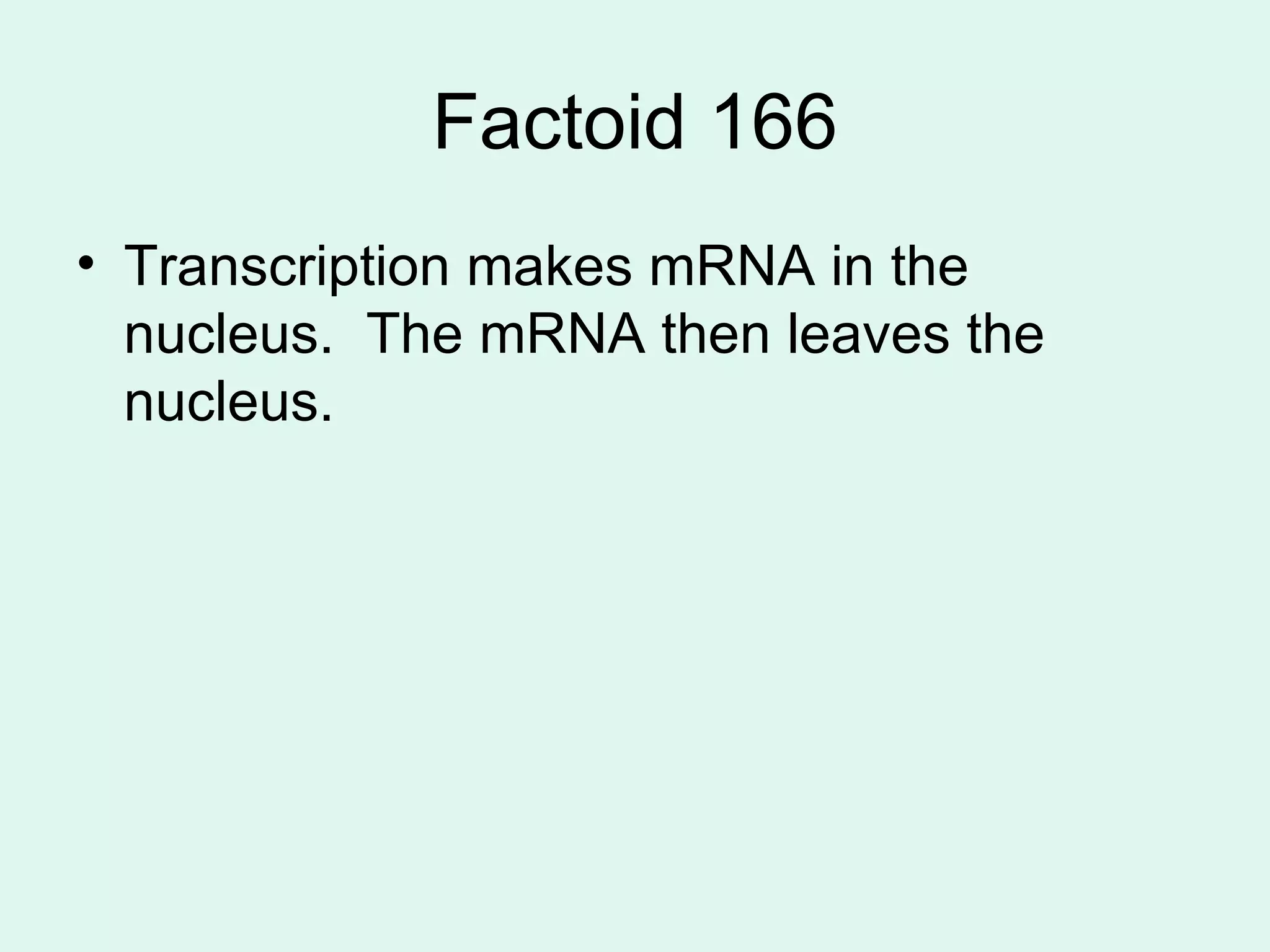 Factoid 166 Transcription makes mRNA in the nucleus.  The mRNA then leaves the nucleus. 