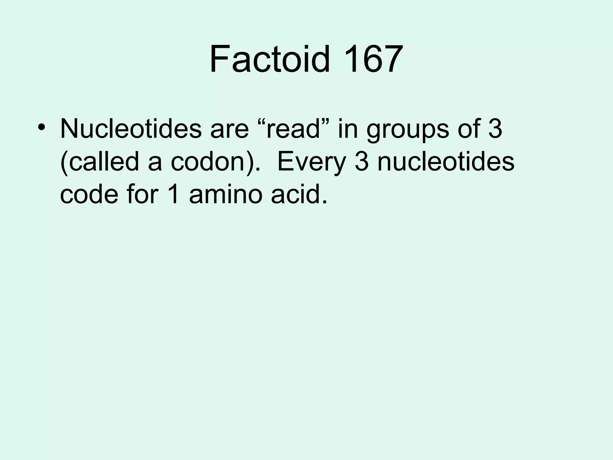Factoid 167 Nucleotides are “read” in groups of 3 (called a codon).  Every 3 nucleotides code for 1 amino acid.  