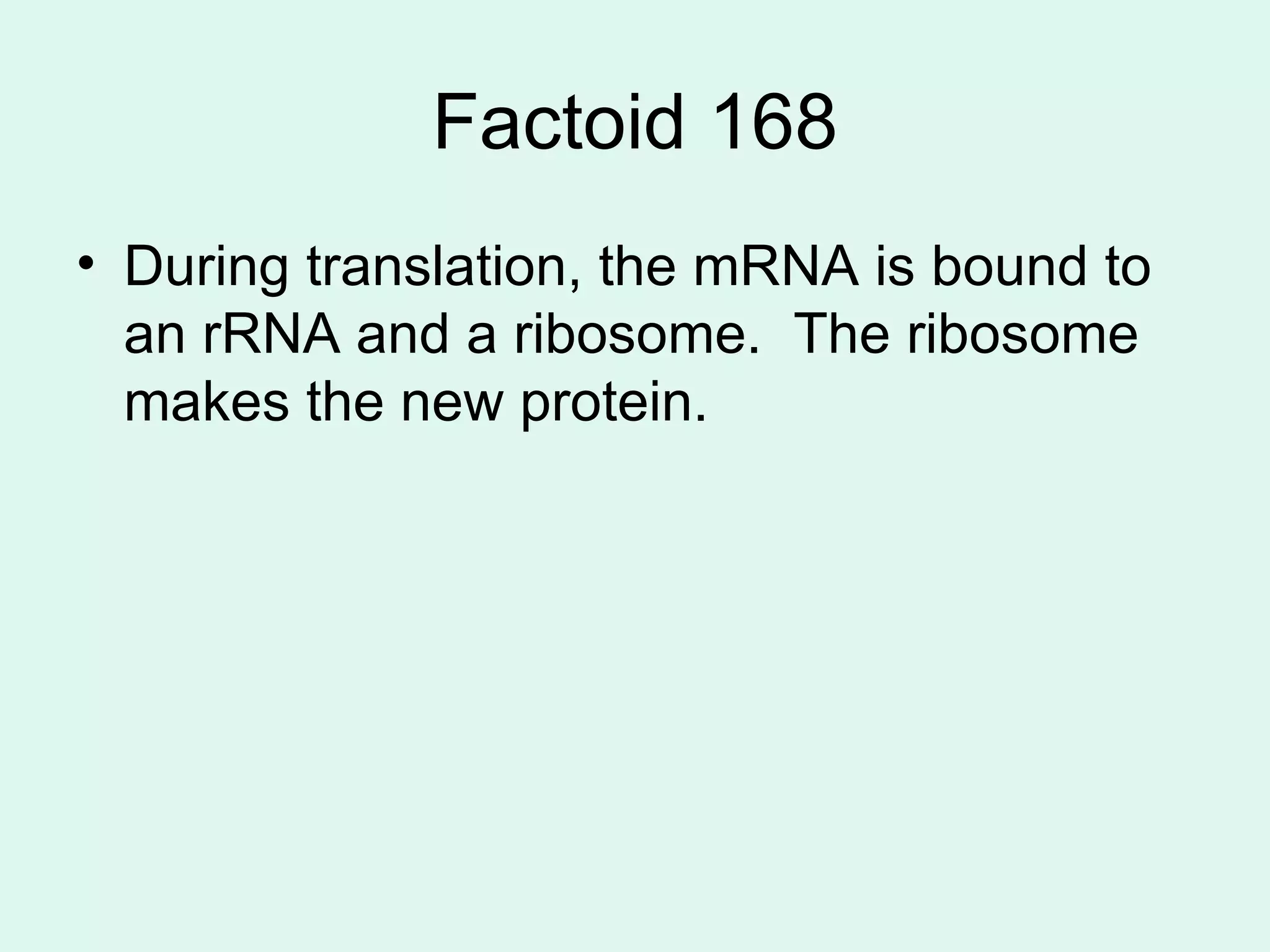 Factoid 168 During translation, the mRNA is bound to an rRNA and a ribosome.  The ribosome makes the new protein. 