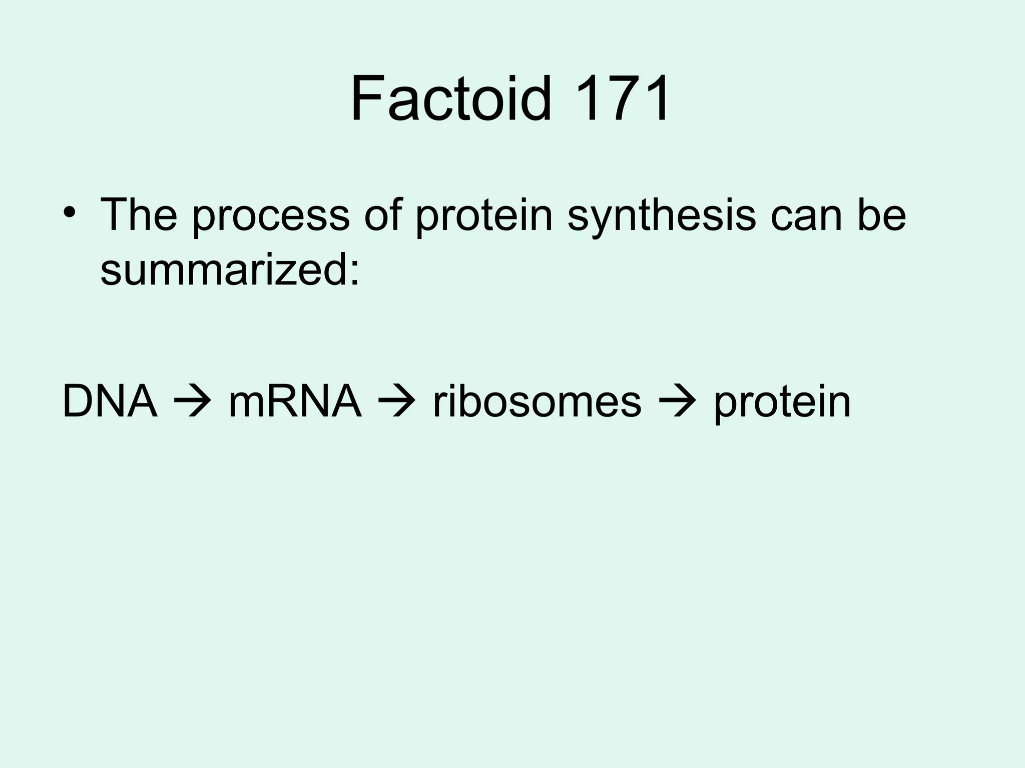 Factoid 171 The process of protein synthesis can be summarized: DNA    mRNA    ribosomes    protein 