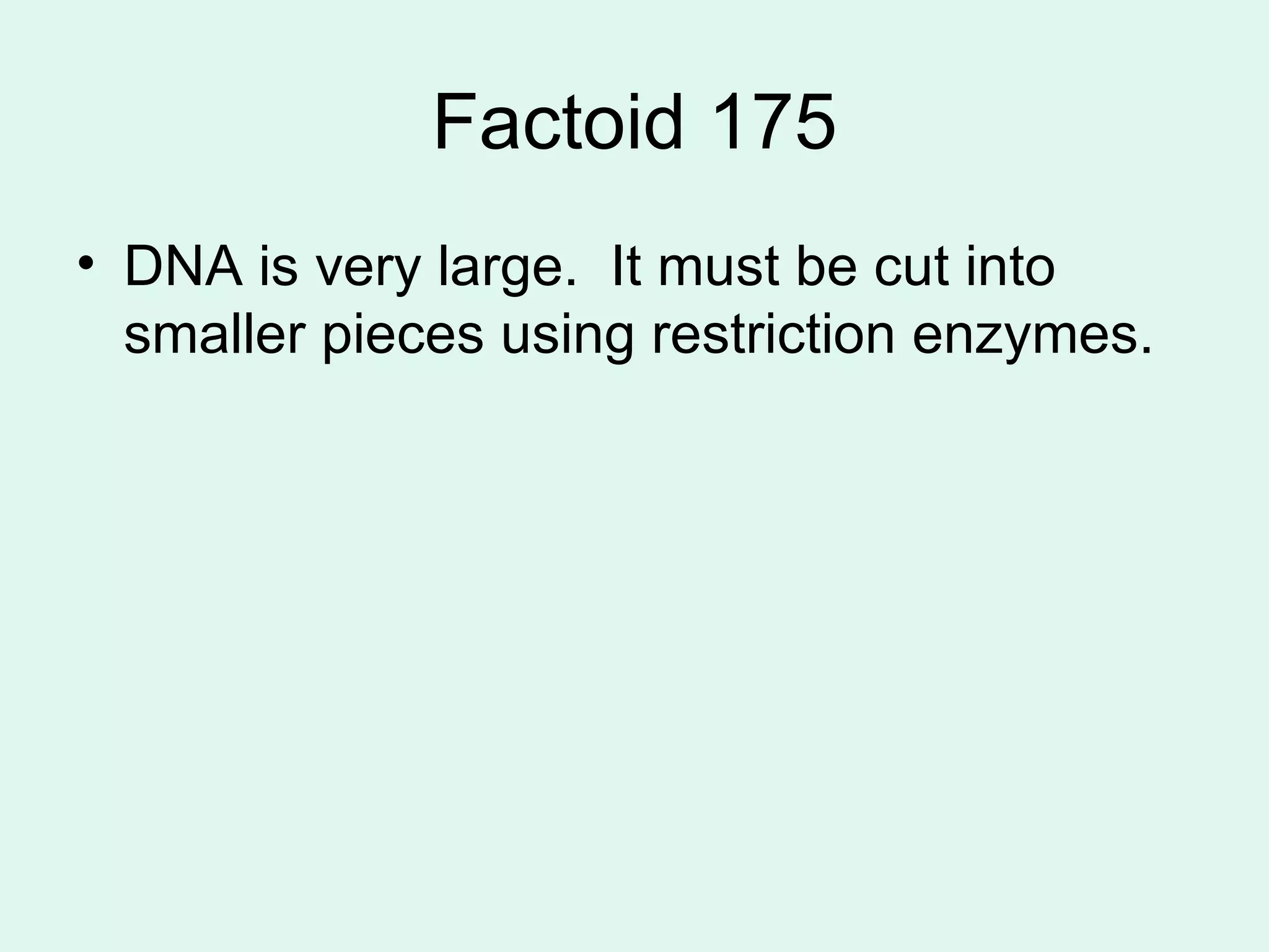 Factoid 175 DNA is very large.  It must be cut into smaller pieces using restriction enzymes. 