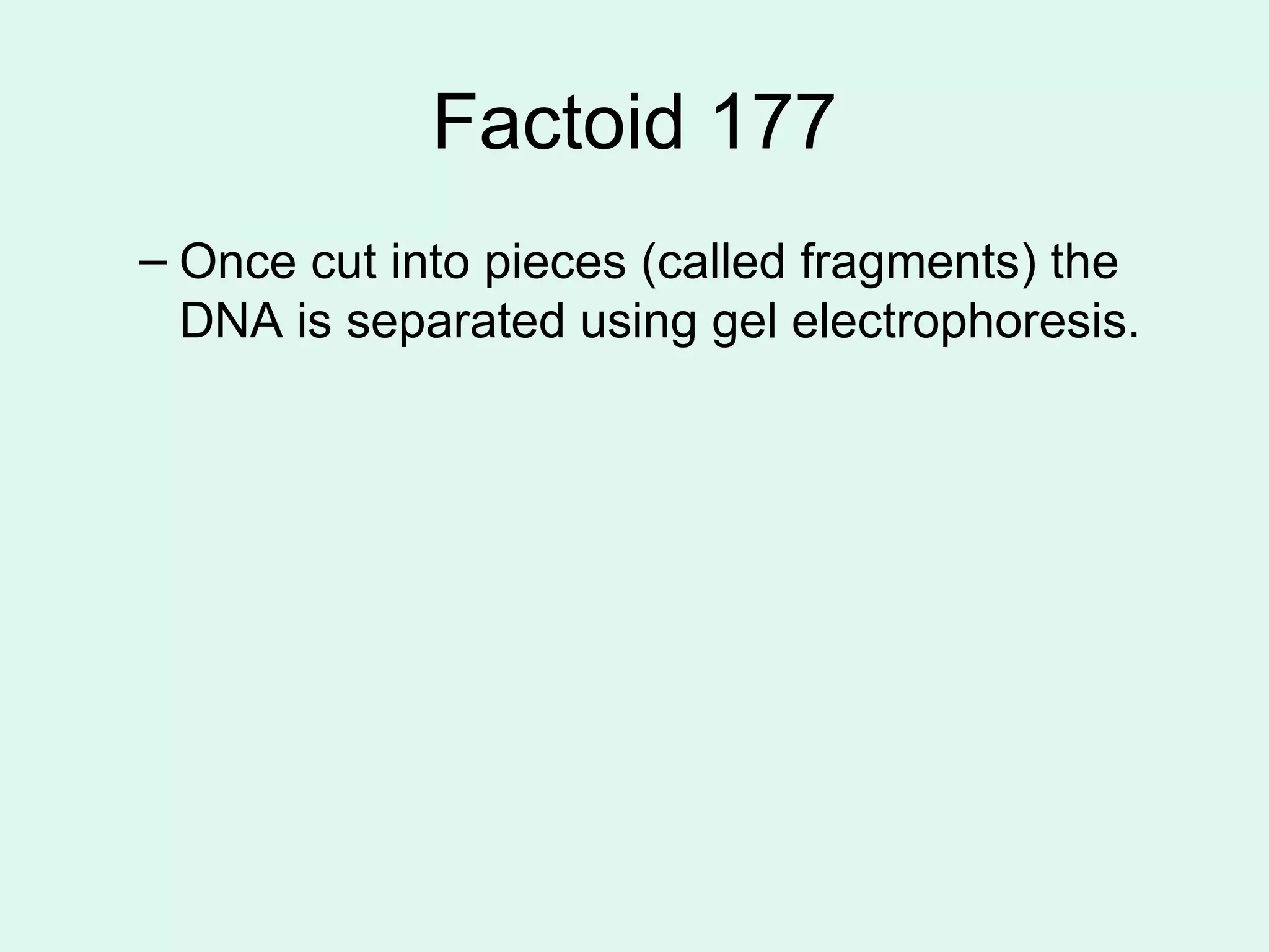 Factoid 177 Once cut into pieces (called fragments) the DNA is separated using gel electrophoresis. 