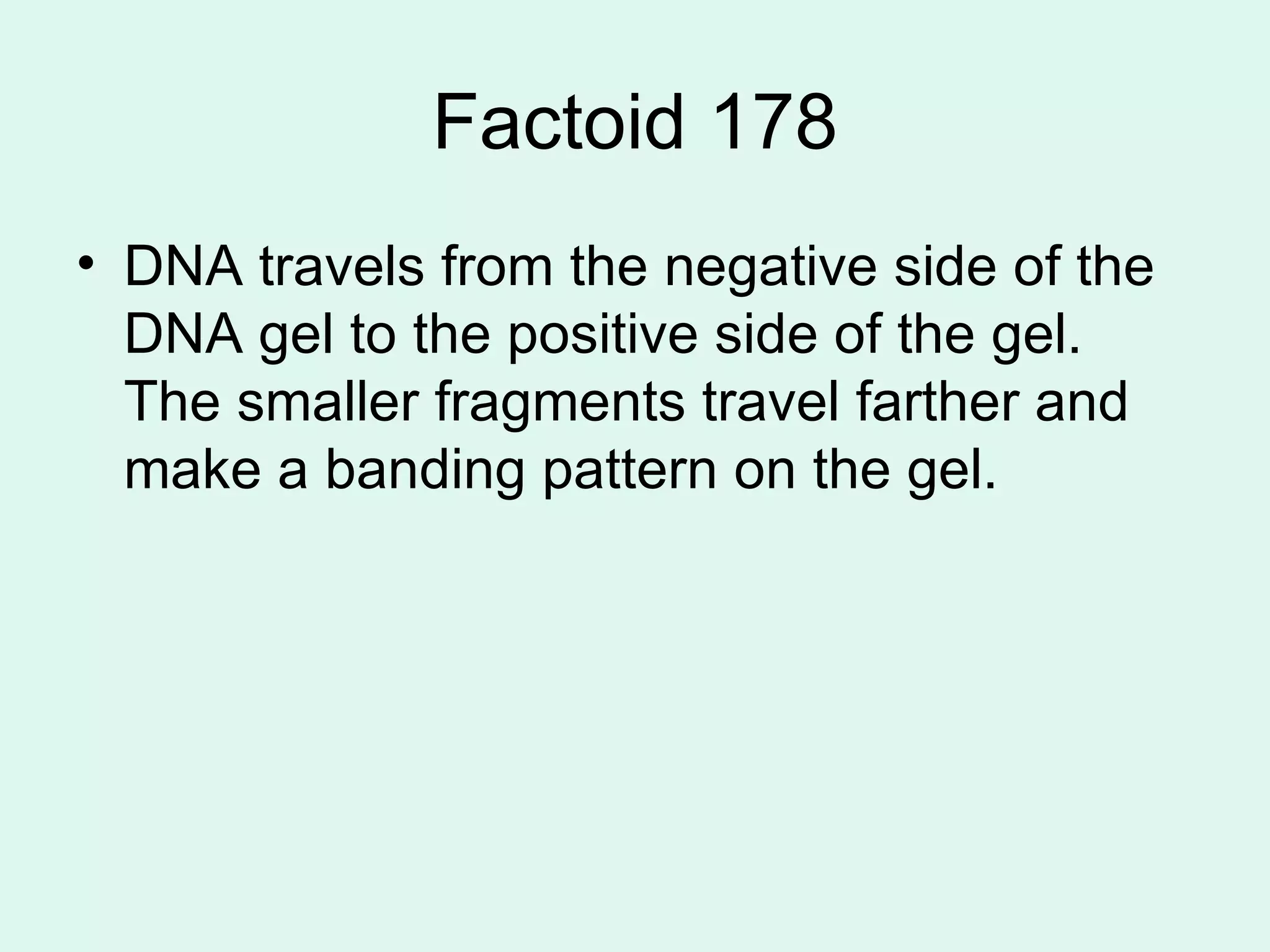 Factoid 178 DNA travels from the negative side of the DNA gel to the positive side of the gel.  The smaller fragments travel farther and make a banding pattern on the gel.  