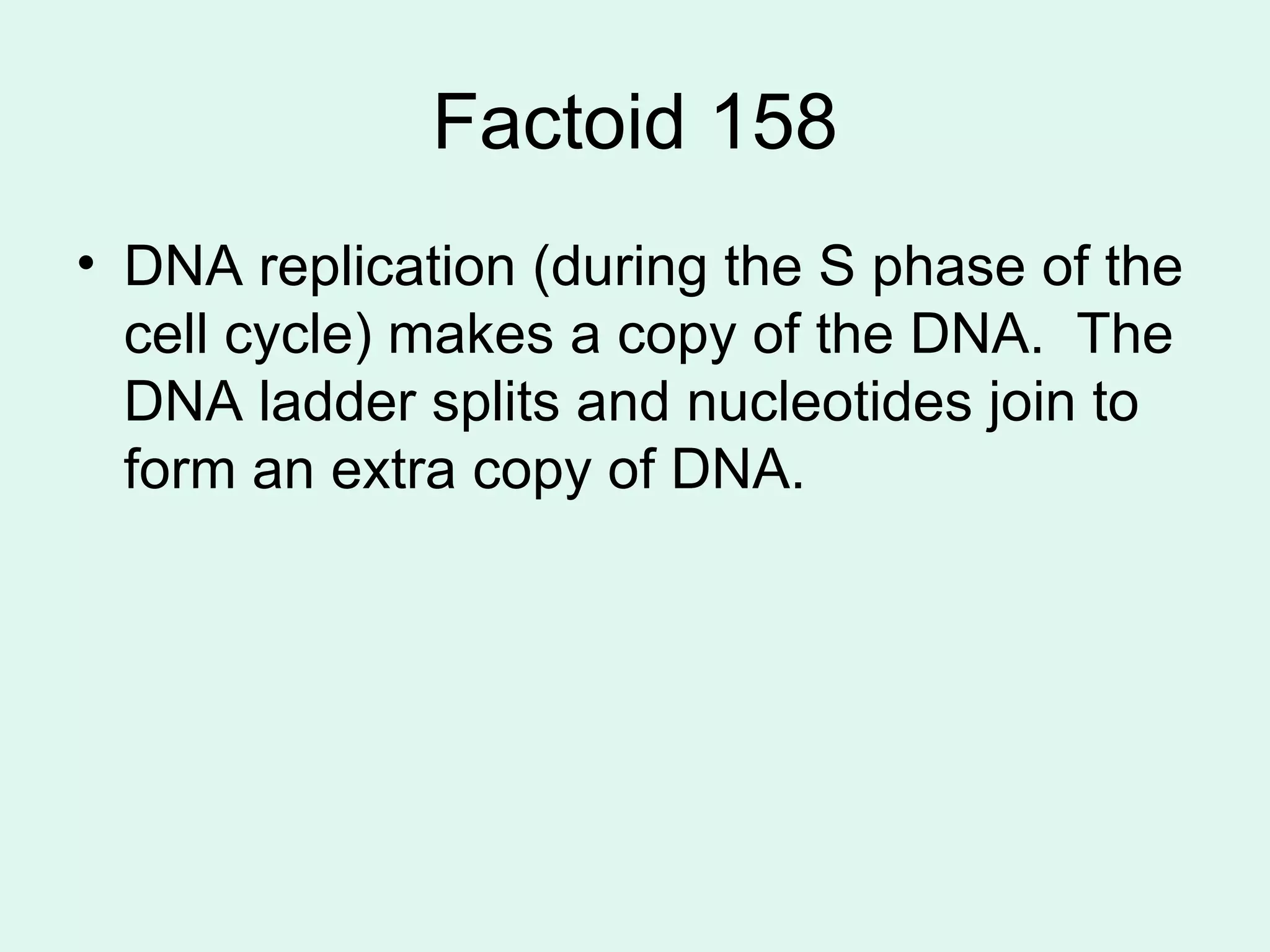 Factoid 158 DNA replication (during the S phase of the cell cycle) makes a copy of the DNA.  The DNA ladder splits and nucleotides join to form an extra copy of DNA.  