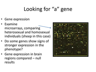 Looking for “a” gene
• Gene expression
• Examine
  microarrays, comparing
  heterosexual and homosexual
  individuals (sheep in this case)
• Do some genes show signs of
  stronger expression in the
  phenotype?
• Gene expression in brain
  regions compared – null
  results
 