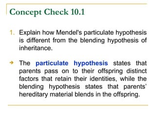 Concept Check 10.1 Explain how Mendel's particulate hypothesis is different from the blending hypothesis of inheritance. The  particulate hypothesis  states that parents pass on to their offspring distinct factors that retain their identities, while the blending hypothesis states that parents’ hereditary material blends in the offspring.  
