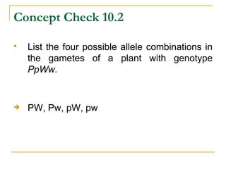 Concept Check 10.2 List the four possible allele combinations in the gametes of a plant with genotype  PpWw. PW, Pw, pW, pw 