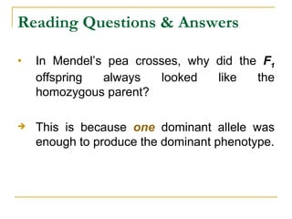 Reading Questions & Answers In Mendel’s pea crosses, why did the  F 1  offspring always looked like the homozygous parent? This is because  one  dominant allele was enough to produce the dominant phenotype. 