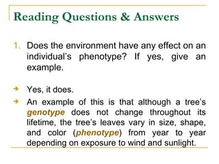 Reading Questions & Answers Does the environment have any effect on an individual’s phenotype? If yes, give an example. Yes, it does.   An example of this is that although a tree’s  genotype  does not change throughout its lifetime, the tree’s leaves vary in size, shape, and color ( phenotype ) from year to year depending on exposure to wind and sunlight. 