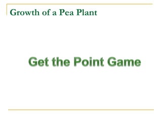 Growth of a Pea Plant 