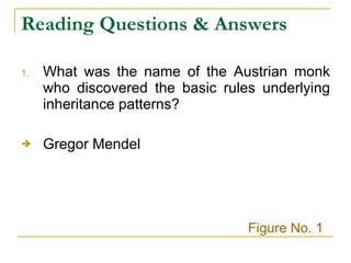 Reading Questions & Answers What was the name of the Austrian monk who discovered the basic rules underlying inheritance patterns? Gregor Mendel Figure No. 1 