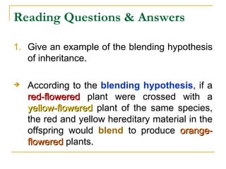 Reading Questions & Answers Give an example of the blending hypothesis of inheritance. According to the  blending hypothesis , if a  red-flowered  plant were crossed with a  yellow-flowered  plant of the same species, the red and yellow hereditary material in the offspring would  blend  to produce  orange-flowered  plants. 