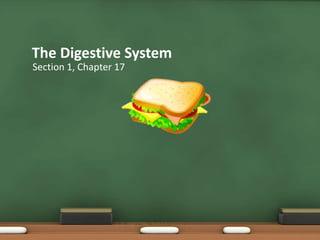 The Digestive System
Section 1, Chapter 17

 