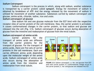 Sodium Cotransport
Sodium cotransport is the process in which, along with sodium, another substance
is transported by a carrier protein called symport. Energy for movement of sodium is
obtained by breakdown of ATP
. And the energy released by the movement of sodium is
utilized for movement of another substance. Substances carried by sodium cotransport are
glucose, amino acids, chloride, iodine, iron and urate.
Sodium cotransport of glucose
One sodium ion and one glucose molecule from the ECF bind with the respective
receptor sites of carrier protein of the cell membrane. Now, the carrier protein is activated.
It causes conformational changes in the carrier protein, so that sodium and glucose are
released into the cell (Fig. 3.5). Sodium cotransport of glucose occurs during absorption of
glucose from the intestine and reabsorption of glucose from the renal tubule.
Sodium cotransport of amino acids
Carrier proteins for the
transport of amino acids are different
from the carrier proteins for the
transport of glucose. For the transport of
amino acids, there are five sets of carrier
proteins in the cell membrane. Each one
carries different amino acids depending
upon the molecular weight of the amino
acids. Sodium cotransport of amino acids
also occurs during the absorption of
amino acids from the intestine and
reabsorption from renal tubule.
FIGURE 3.5: Sodium cotransport. A. Na+ and glucose from ECF
bind with carrier protein; B. Conformational change occurs in
the carrier protein; C. Na+ and glucose are released into ICF.
 
