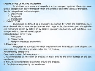 SPECIAL TYPES OF ACTIVE TRANSPORT
In addition to primary and secondary active transport systems, there are some
special categories of active transport which are generally called the vesicular transport.
Special categories of active transport:
1. Endocytosis
2. Exocytosis
3. Transcytosis
• ENDOCYTOSIS
Endocytosis is defined as a transport mechanism by which the macromolecules
enter the cell. Macromolecules (substances with larger molecules) cannot pass through the
cell membrane either by active or by passive transport mechanism. Such substances are
transported into the cell by endocytosis.
Endocytosis is of three types:
1. Pinocytosis
2. Phagocytosis
3. Receptor-mediated endocytosis.
1. Pinocytosis
Pinocytosis is a process by which macromolecules like bacteria and antigens are
taken into the cells. It is otherwise called the cell drinking.
Mechanism of pinocytosis
Pinocytosis involves following events:
i. Macromolecules (in the form of droplets of fluid) bind to the outer surface of the cell
membrane
ii. Now, the cell membrane evaginates around the droplets
iii. Droplets are engulfed by the membrane
 