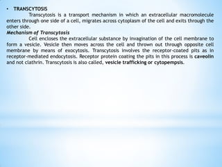 • TRANSCYTOSIS
Transcytosis is a transport mechanism in which an extracellular macromolecule
enters through one side of a cell, migrates across cytoplasm of the cell and exits through the
other side.
Mechanism of Transcytosis
Cell encloses the extracellular substance by invagination of the cell membrane to
form a vesicle. Vesicle then moves across the cell and thrown out through opposite cell
membrane by means of exocytosis. Transcytosis involves the receptor-coated pits as in
receptor-mediated endocytosis. Receptor protein coating the pits in this process is caveolin
and not clathrin. Transcytosis is also called, vesicle trafficking or cytopempsis.
 