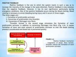 POSITIVE FEEDBACK
Positive feedback is the one to which the system reacts in such a way as to
increase the intensity of the change in the same direction. Positive feedback is less common
than the negative feedback. However, it has its own significance particularly during
emergency conditions. One of the positive feedbacks occurs during the blood clotting. Blood
clotting is necessary to arrest bleeding during injury and it occurs in three stages.
The three stages are:
i. Formation of prothrombin activator
ii. Conversion of prothrombin into thrombin
iii. Conversion of fibrinogen into fibrin.
Thrombin formed in the second stage stimulates the formation of more
prothrombin activator in addition to converting fibrinogen into fibrin (Fig. 4.4). It causes
formation of more and more amount of prothrombin activator so that the blood clotting
process is accelerated and blood loss is prevented quickly.
FIGURE 4.4:
Positive feedback mechanism
– coagulation of blood. Once formed,
thrombin induces the formation of more
prothrombin activator.
 
