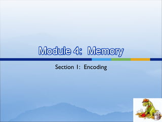 Section 1:  Encoding 