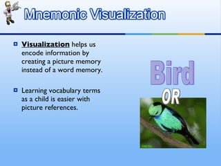 Visualization  helps us encode information by creating a picture memory instead of a word memory. Learning vocabulary terms as a child is easier with picture references. OR Bird 